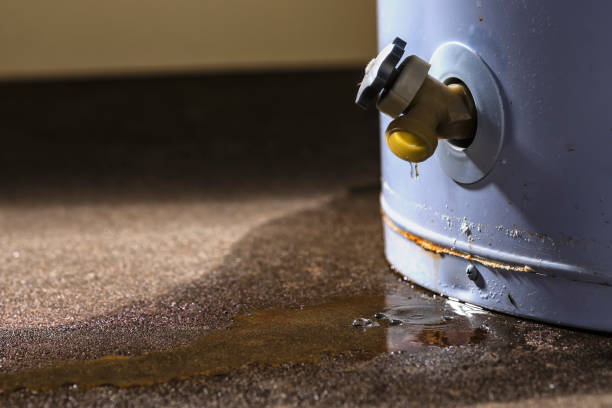 Best Ceiling water damage repair  in Christmas, FL