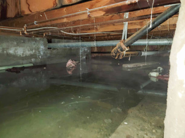 Best Water damage restoration near me  in Christmas, FL