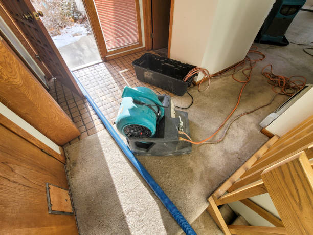 Best Water damage contractors near me  in Christmas, FL