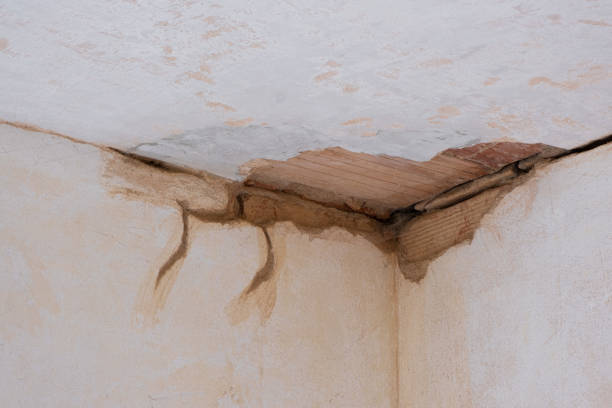 Best Flooded house restoration  in Christmas, FL