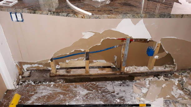 Best Professional water damage repair  in Christmas, FL