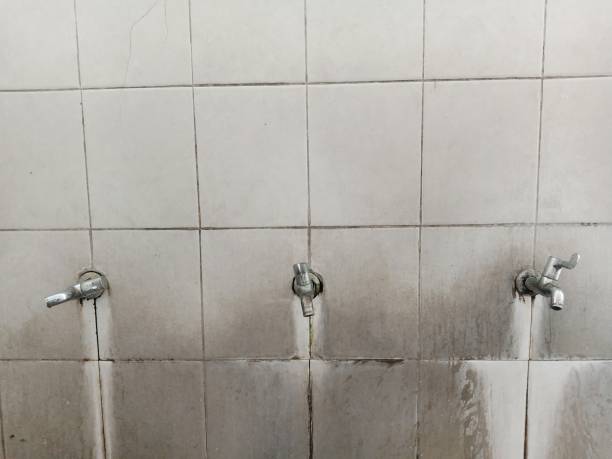 Best Basement water damage restoration  in Christmas, FL
