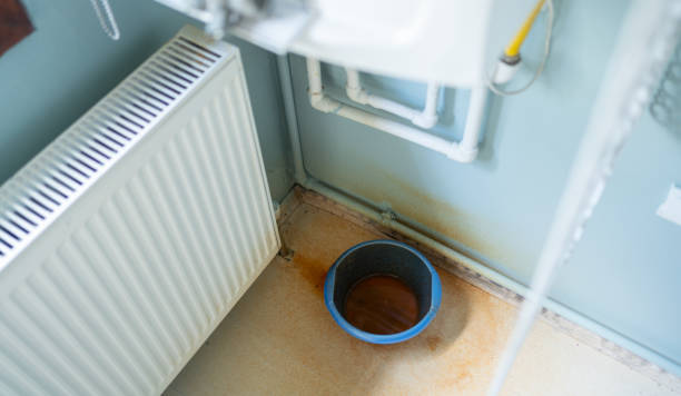 Best Local water damage restoration  in Christmas, FL