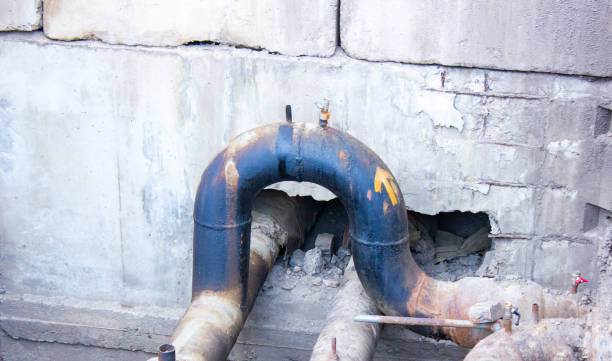 Best Water damage restoration cost  in Christmas, FL