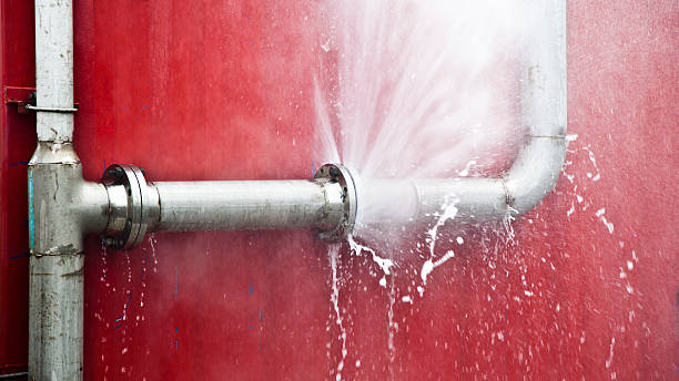 Water damage restoration experts in FL